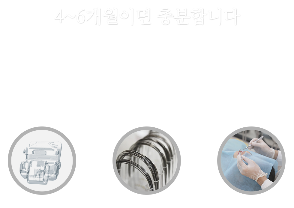 4~6개월이면 충분합니다